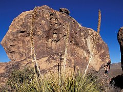 Bouldering the Sea of Choss, Hueco Tanks Historic Site, Texas